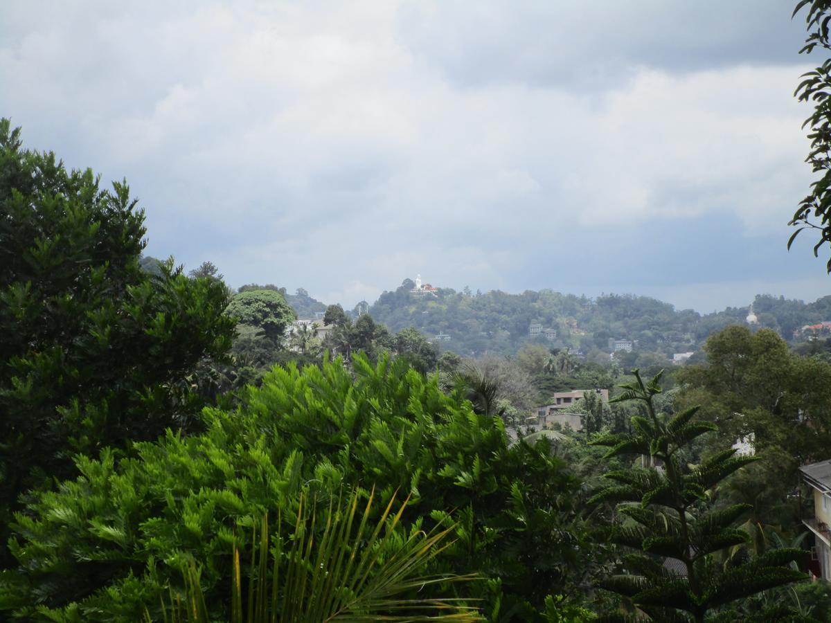 Cloud Inn Kandy Homestay Екстер'єр фото