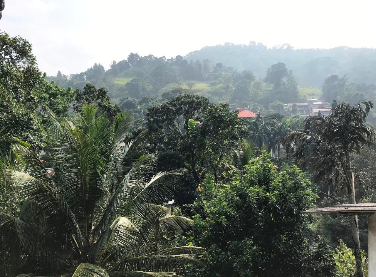 Cloud Inn Kandy Homestay Екстер'єр фото