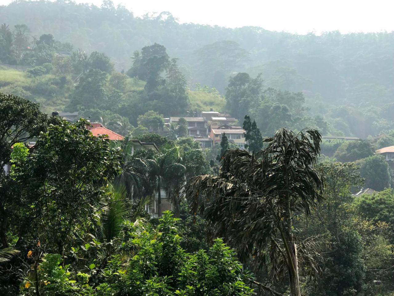 Cloud Inn Kandy Homestay Екстер'єр фото
